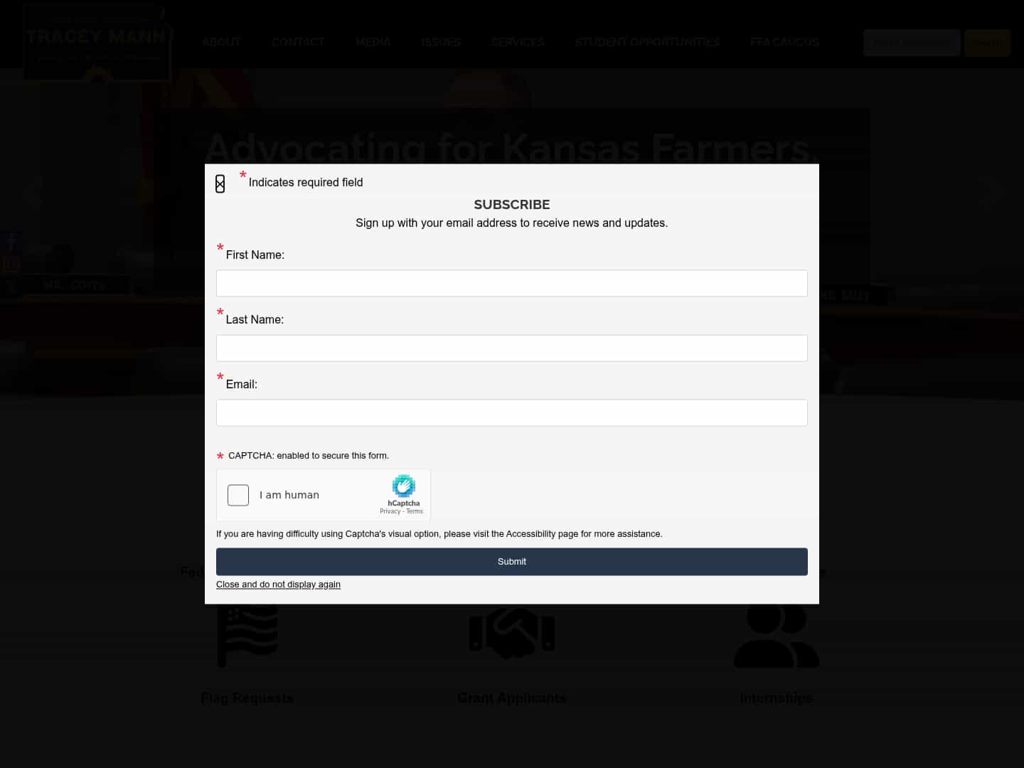 Latest website image capture