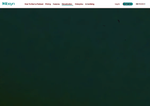 Check dated 2026-08-08T16:59:00.000Z thumbnail image