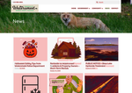 Check dated 2026-07-25T07:42:34.000Z thumbnail image