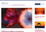 Check dated 2026-08-18T17:52:58.000Z thumbnail image