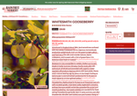 Check dated 2026-09-01T20:07:55.000Z thumbnail image