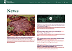Check dated 2026-08-04T10:10:27.000Z thumbnail image
