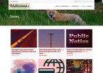 Check dated 2026-06-19T19:29:21.000Z thumbnail image