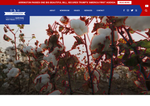 Check dated 2026-08-16T14:50:09.000Z thumbnail image