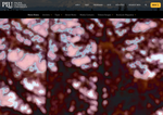 Check dated 2026-05-11T02:00:57.000Z thumbnail image