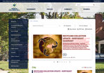 Check dated 2026-06-12T11:44:16.000Z thumbnail image