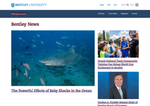 Check dated 2026-07-19T18:45:49.000Z thumbnail image