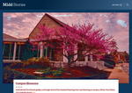 Check dated 2026-05-22T08:00:22.000Z thumbnail image