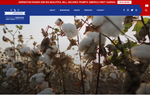 Check dated 2026-04-24T06:01:36.000Z thumbnail image