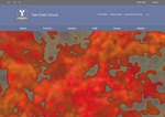 Check dated 2026-05-29T14:11:59.000Z thumbnail image