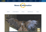 Check dated 2026-07-06T10:37:16.000Z thumbnail image