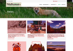 Check dated 2026-08-15T12:28:41.000Z thumbnail image