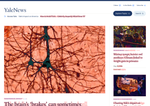 Check dated 2026-06-01T02:17:57.000Z thumbnail image
