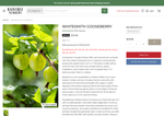 Check dated 2026-09-23T01:33:39.000Z thumbnail image
