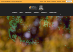 Check dated 2026-06-09T15:26:42.000Z thumbnail image