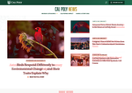 Check dated 2026-07-18T09:35:09.000Z thumbnail image
