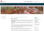 Check dated 2026-06-12T15:41:26.000Z thumbnail image