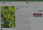 Check dated 2026-08-11T16:39:40.000Z thumbnail image
