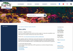 Check dated 2026-07-25T06:37:13.000Z thumbnail image